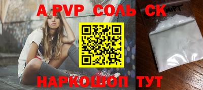 гашик Кингисепп
