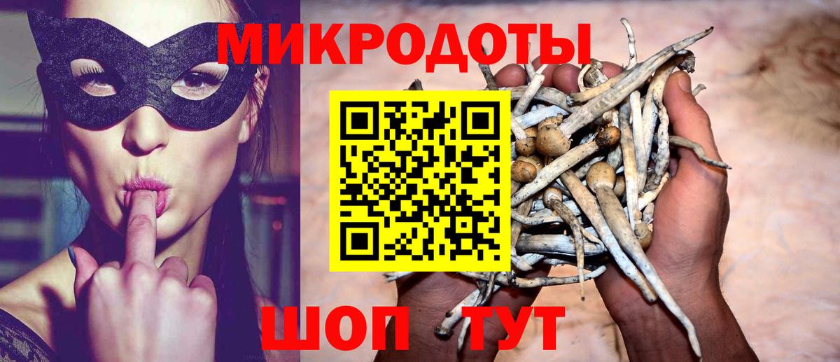 Псилоцибиновые грибы GOLDEN TEACHER  Вход с VPN  Петрозаводск 