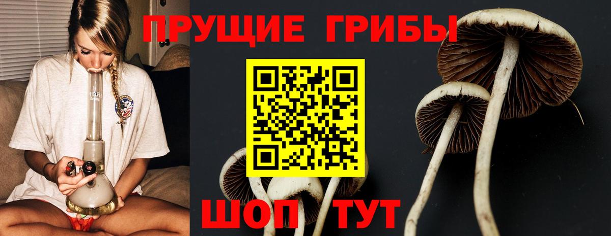 Псилоцибиновые грибы GOLDEN TEACHER Петрозаводск